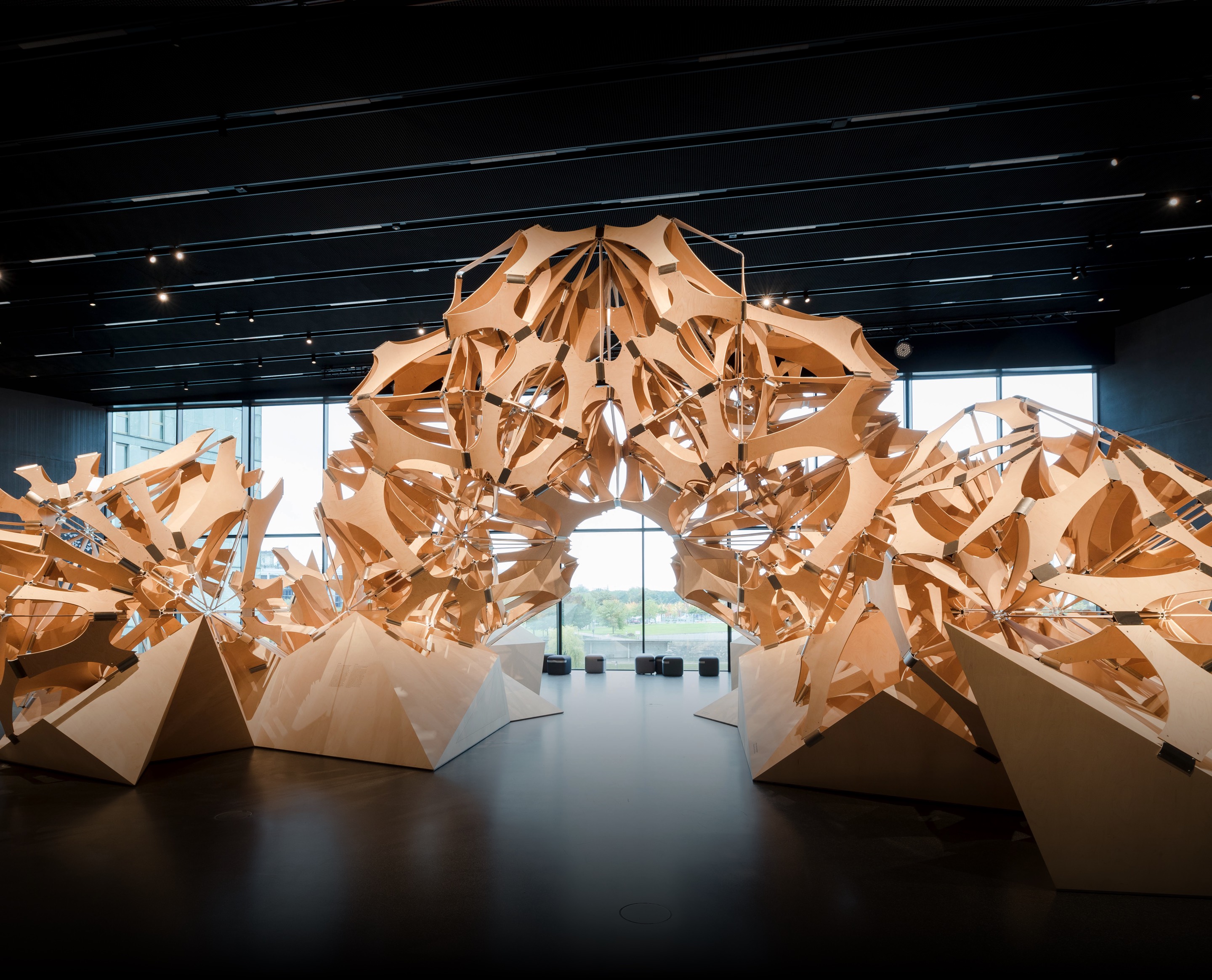 Exhibition Intro Image