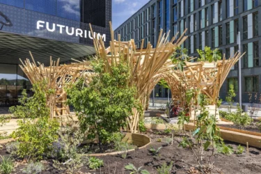 Welcome to Superland!